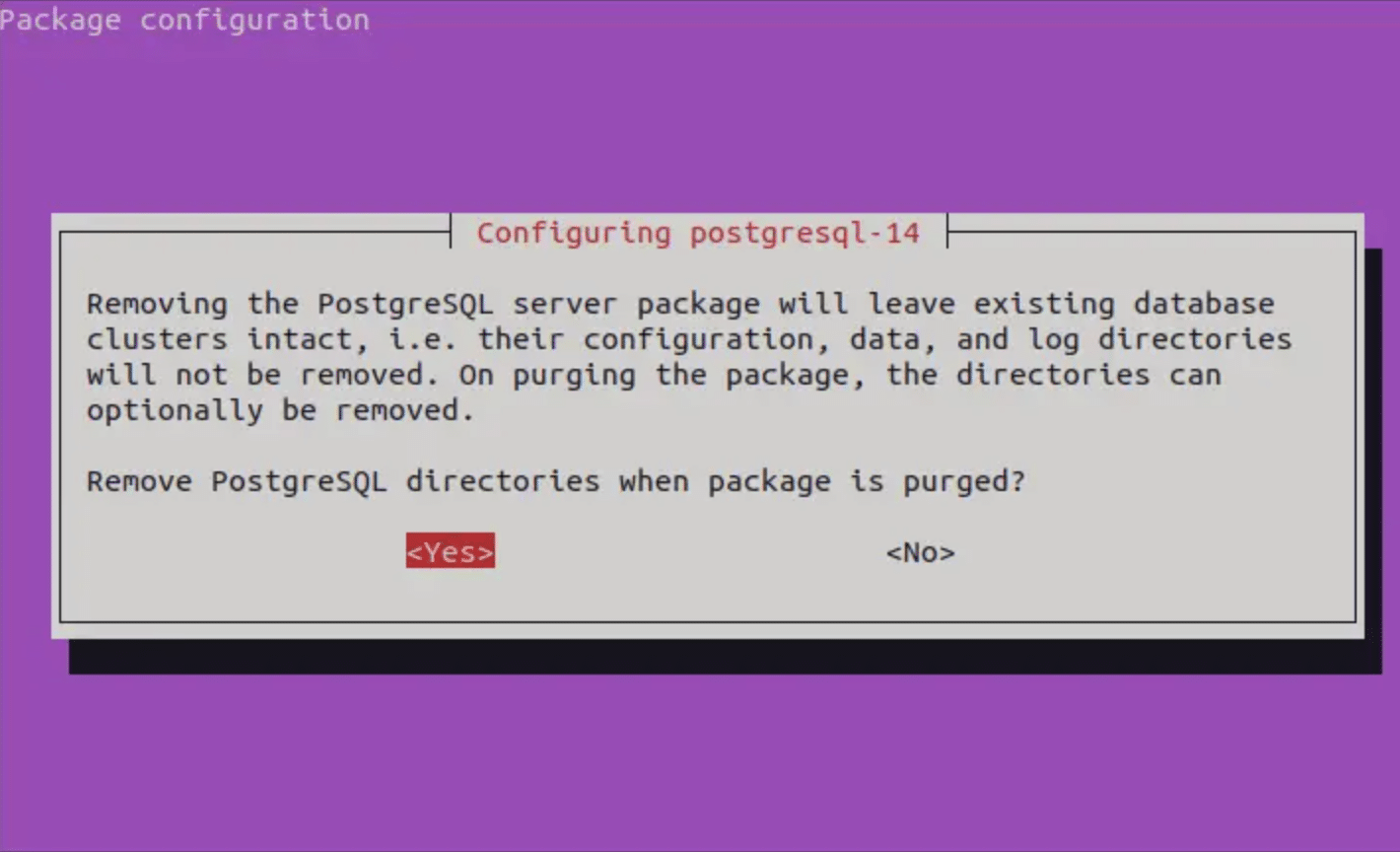 remove the PostgreSQL packages