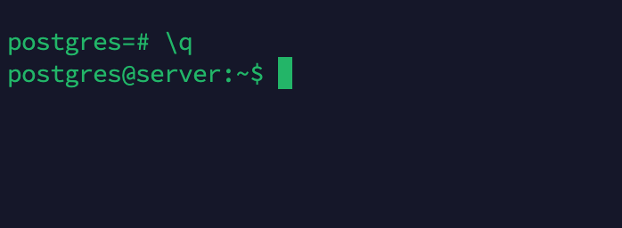 \q command