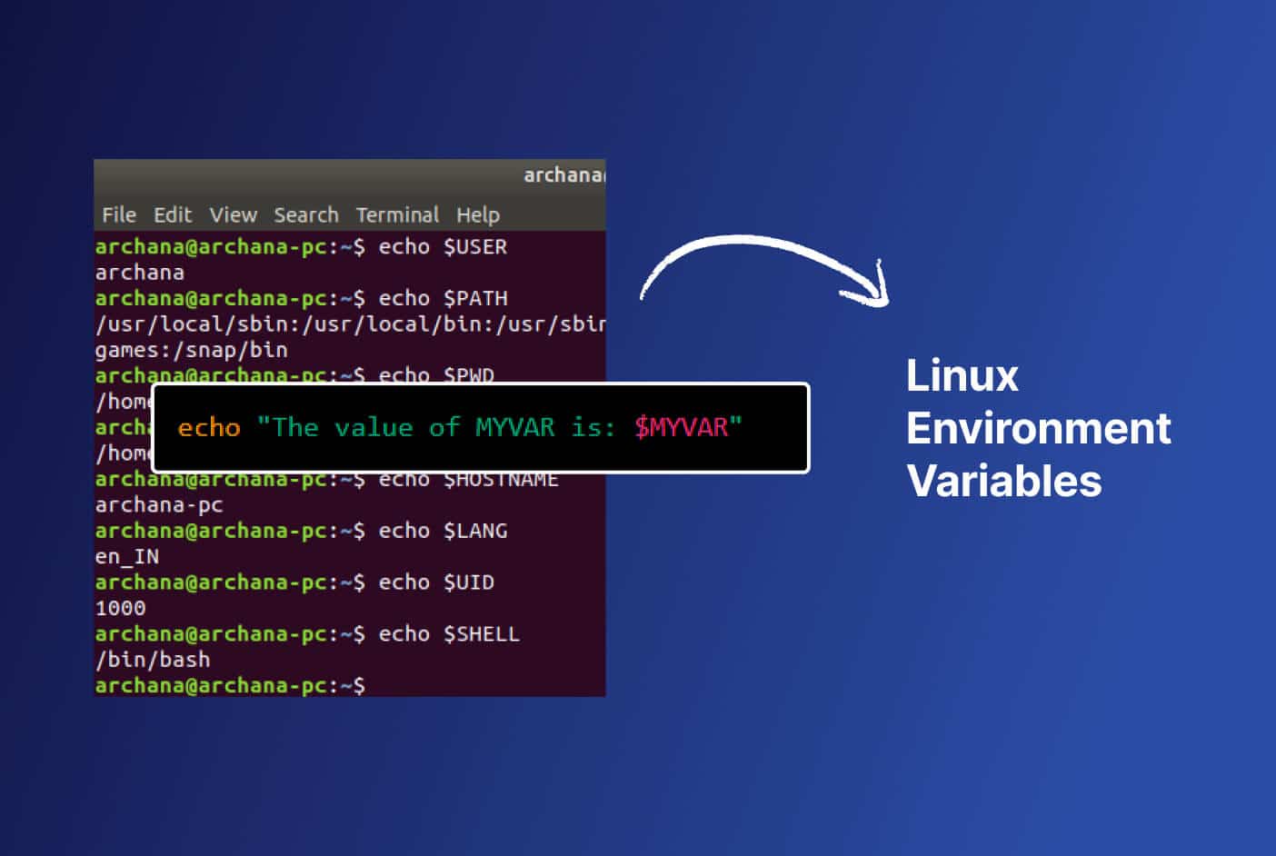 linux set environment variable