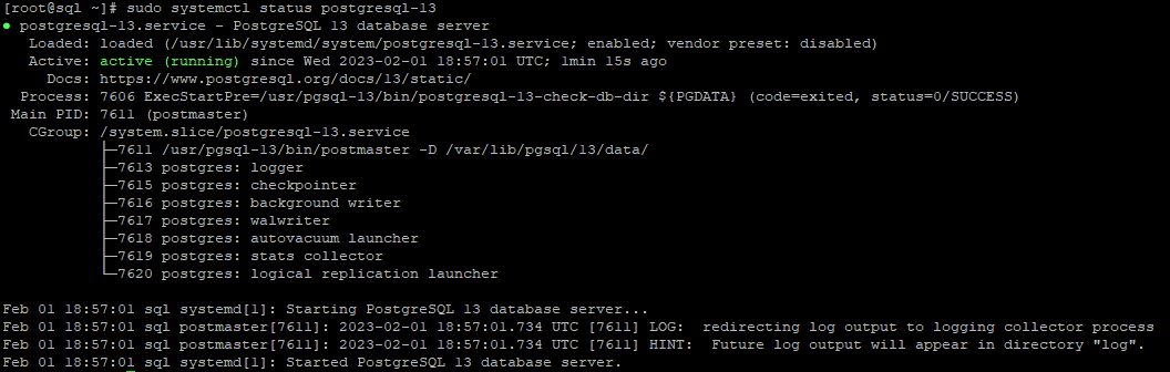 Check the PostgreSQL Database Status