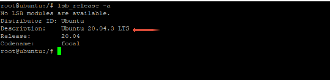 $ lsb_release -a