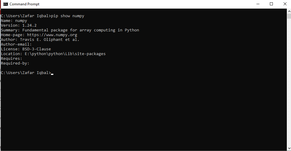Manage Python Packages while install pip on Windows