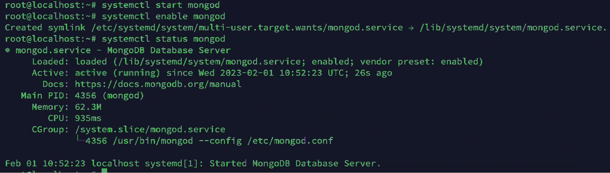 step 5 to install mongoDB on ubuntu
