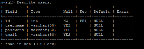 mysql> DESCRIBE users;