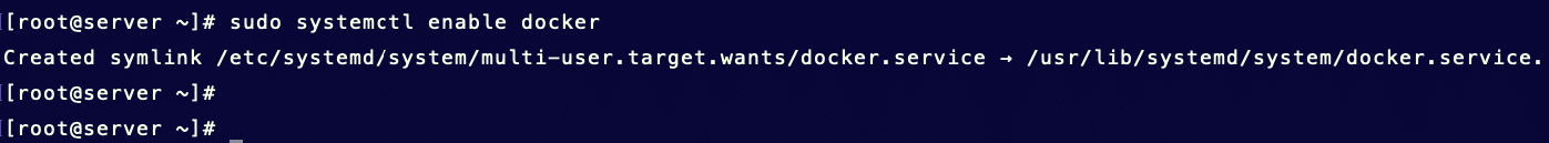 # sudo systemctl enable docker
