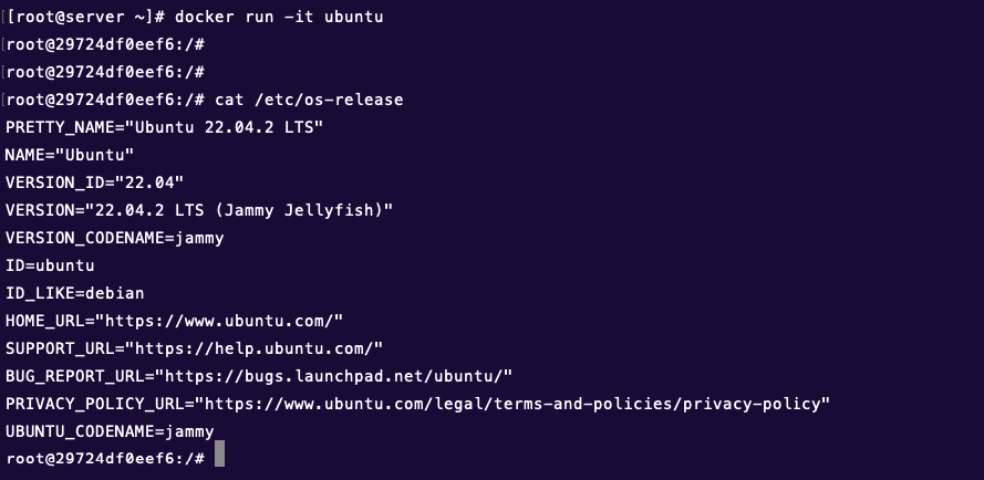 # docker run -it ubuntu