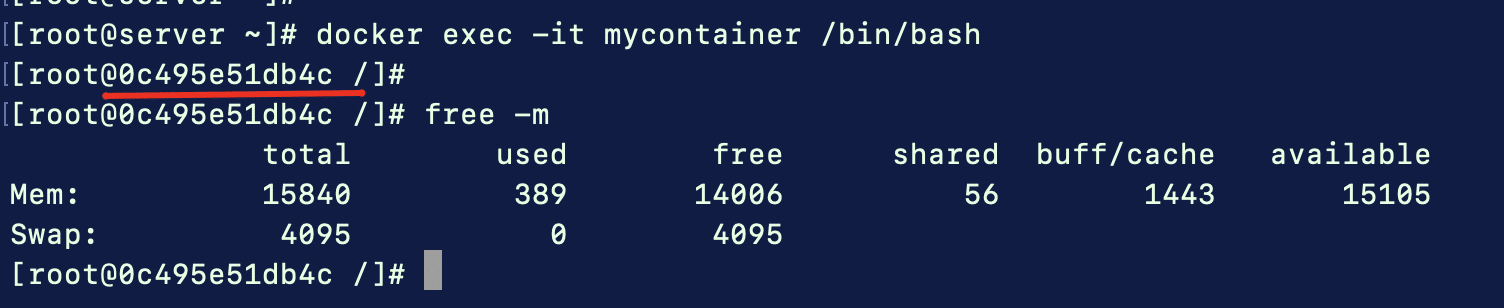 running container in docker exec