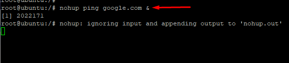 Run a task through Nohup Command in Linux
