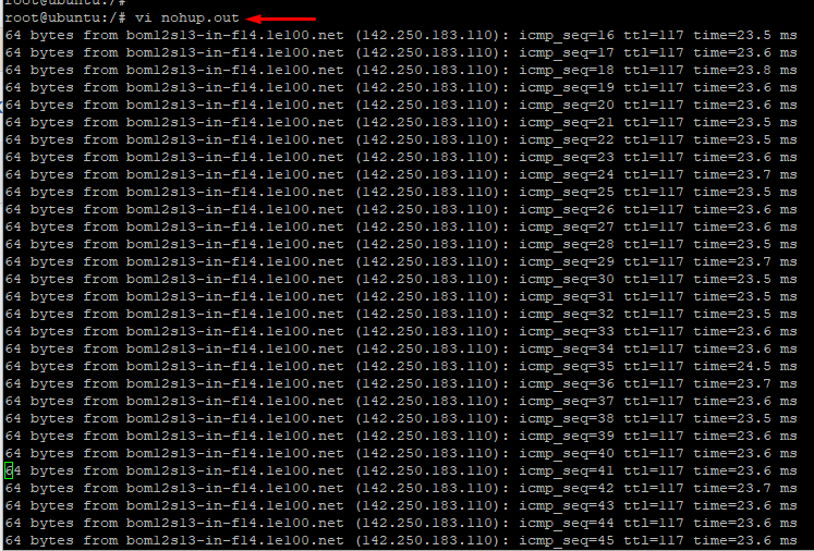 View Nohup Command in Linux output