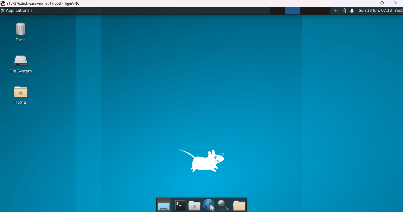 VNC desktop environment