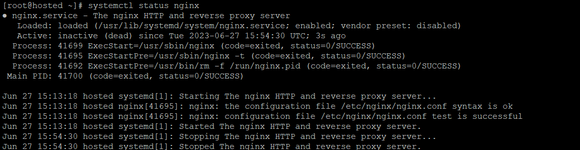 nginx service status