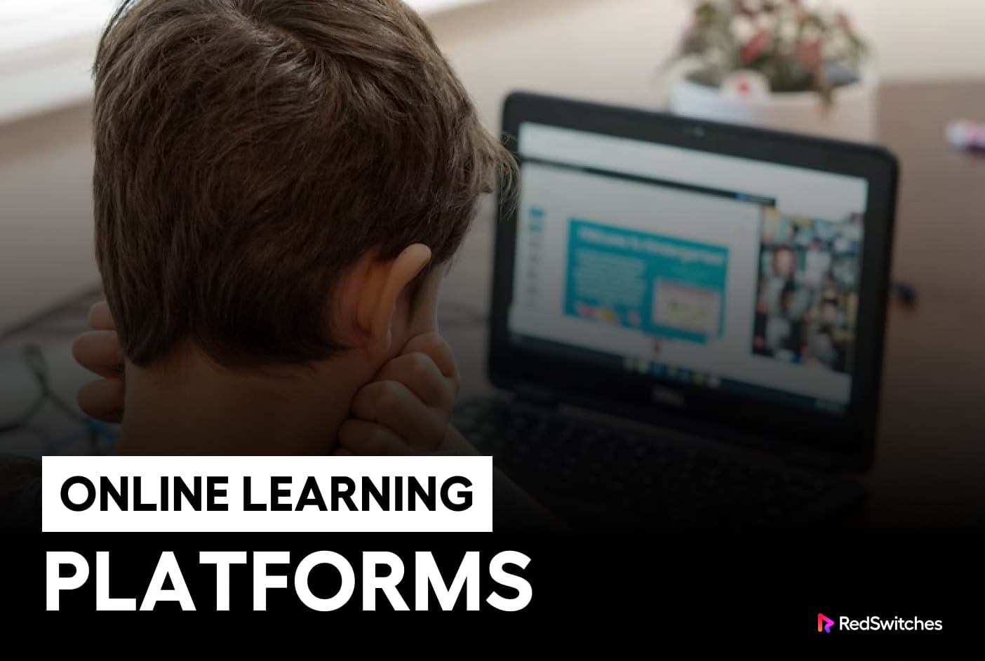 online learning platforms is a examples of databases