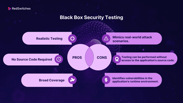 Black Box Security Testing pros and cons
