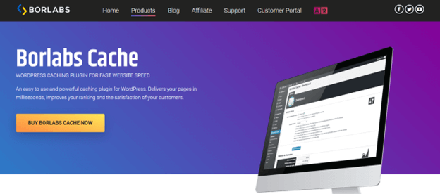 Borlabs wordpress Cache plugin