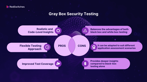 Gray Box Security Testing pros and cons