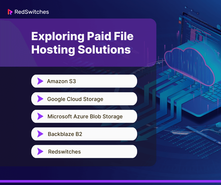 Paid File hosting solutions 