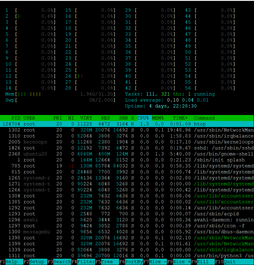 htop Command to See Each Process's Memory Load
