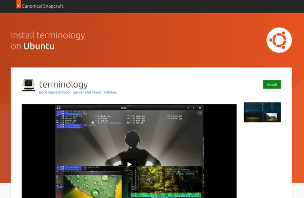 Terminology terminal for ubuntu