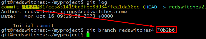 $ git branch <new_branch_name> 70b2b6