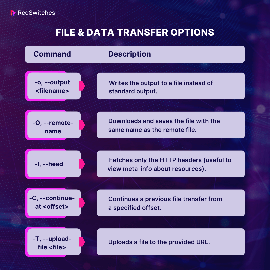 File & Data Transfer Options