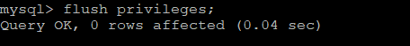 flush privileges MySQL Root Password