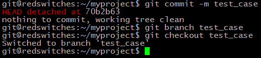 $ git commit -m test_case
