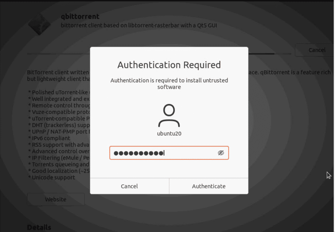 authentication required visual