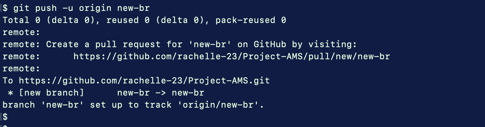 Step 3 Git Push to Remote branch