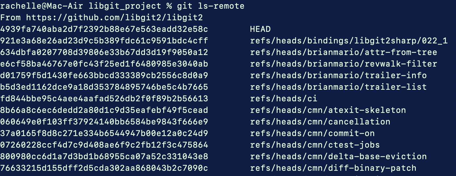 List Remote References 