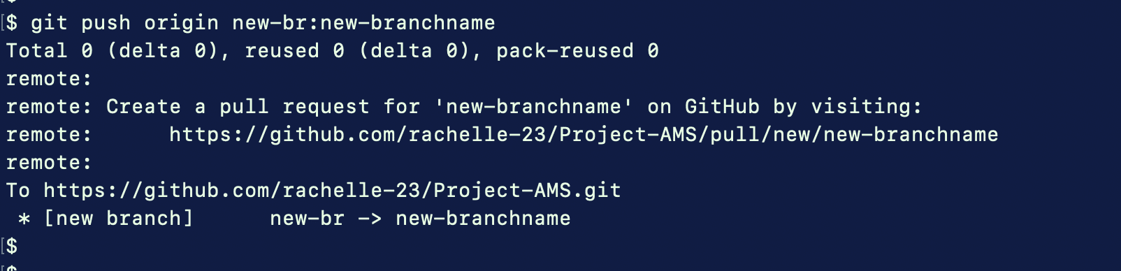 Git Push to Remote branch