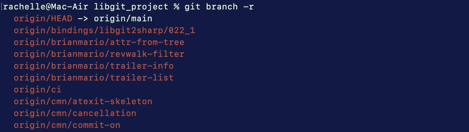 Remote Branches in Git