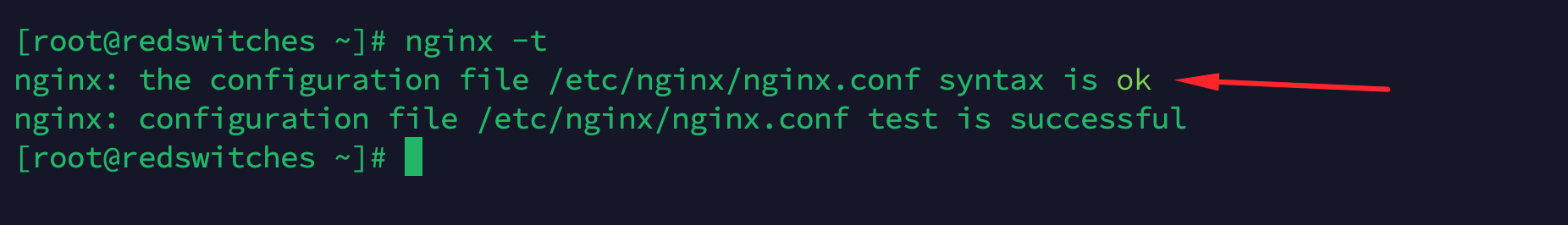 nginx -t