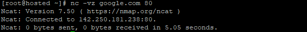 ping with netcat utility