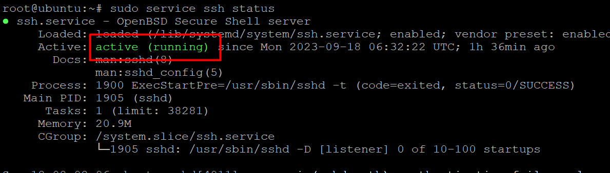 # sudo service ssh status