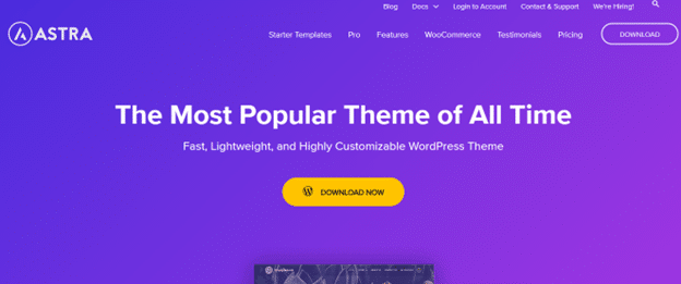 Astra WordPress Theme