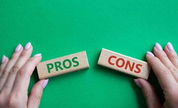 Flask Pros vs Cons