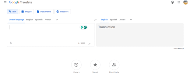 Google Language Translator wordpress translation plugin