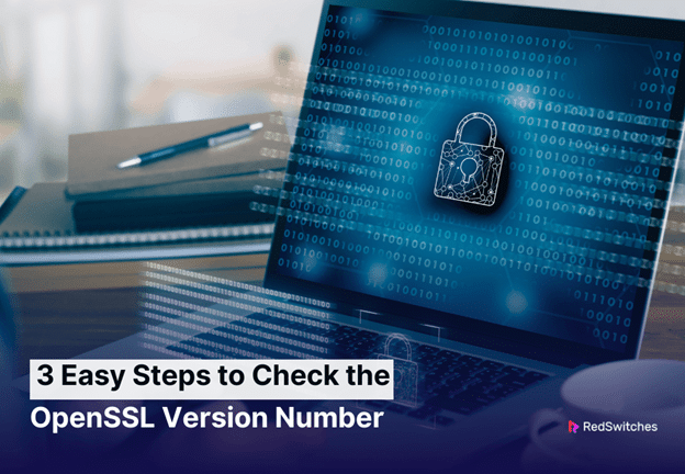 Steps to check the open SSL Version Number