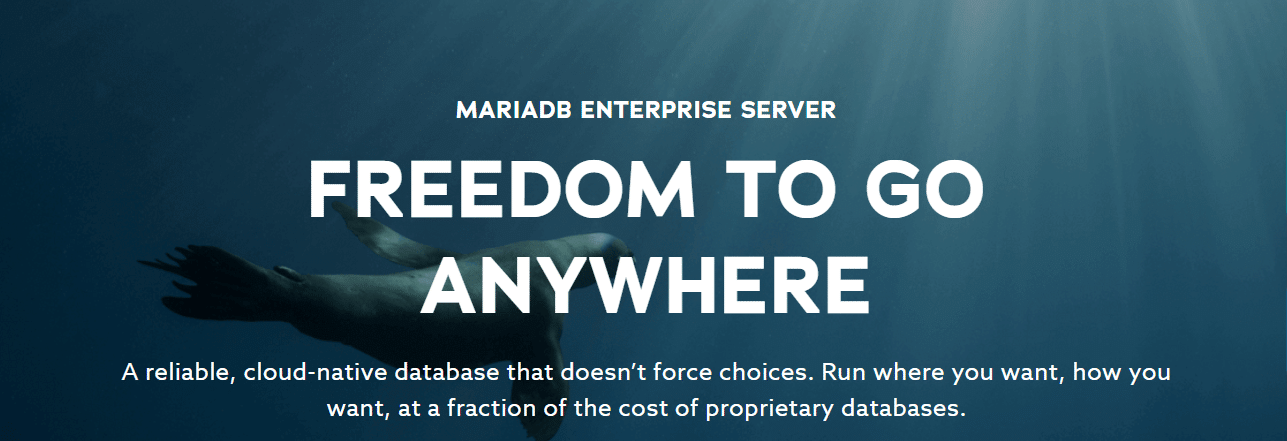 What Is MariaDB