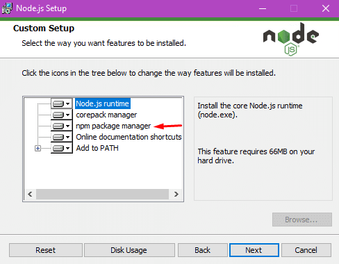 node js custom setup