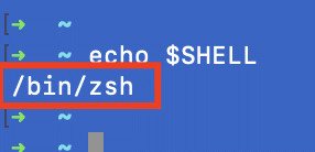 echo-shell