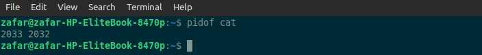 pidof cat