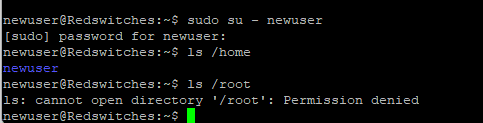 Try Out the Sudo Access