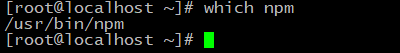 which npm