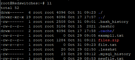 -e: Encrypt the zip Archive With A Password