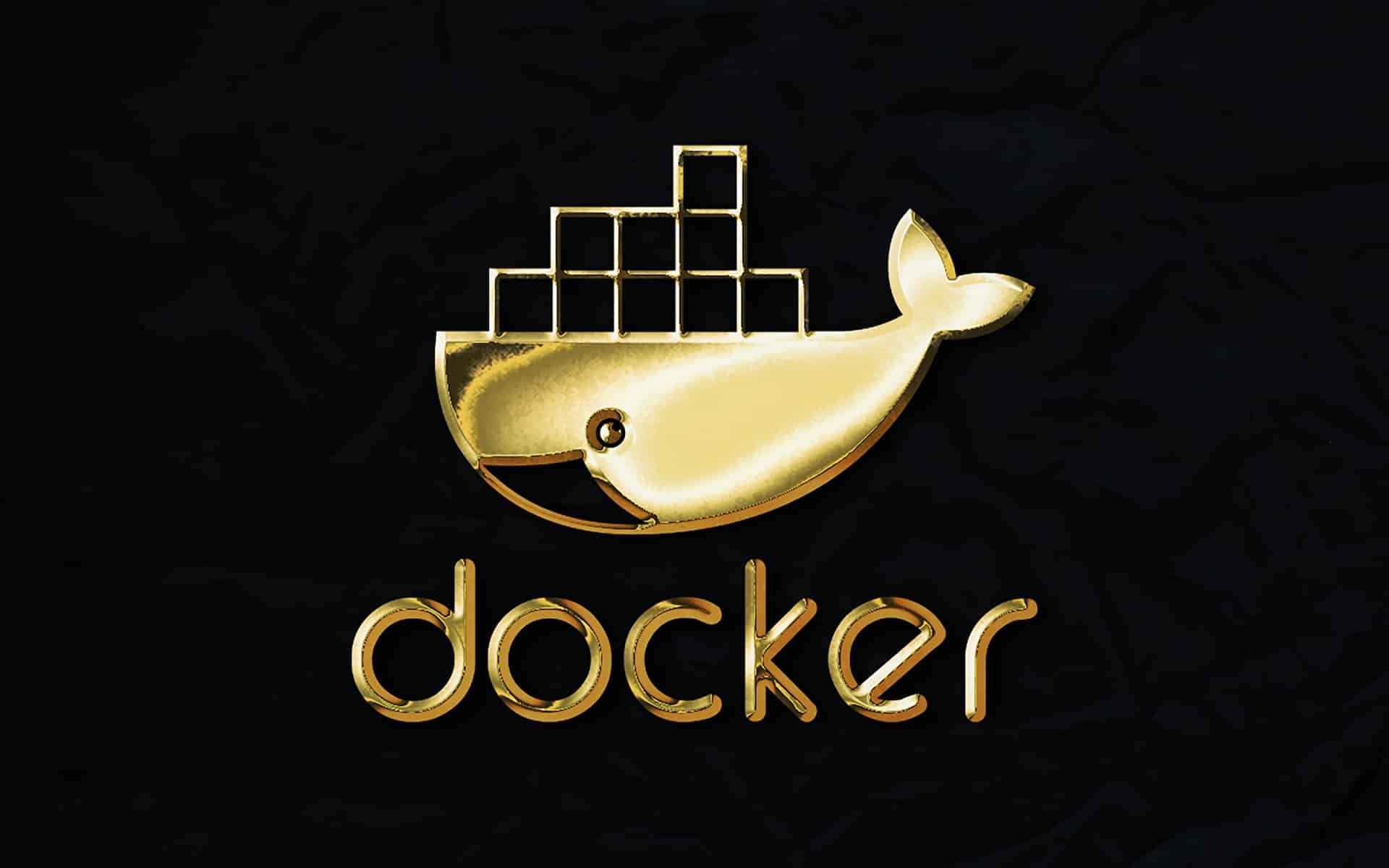 Docker Images vs Container Similarities