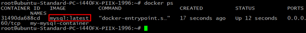 docker ps 2 command in linux