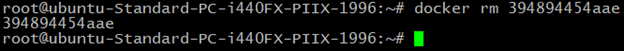 docker rm container command in linux