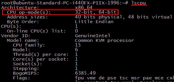 lscpu output