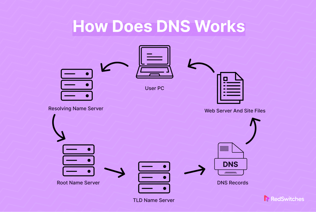 components of DNS